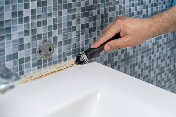 Best Toxic Mold Removal  in Grant, NE